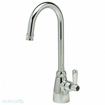 Gooseneck Chrome Zurn AquaSpec Brass, 46CE06