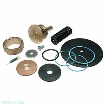 ZURN WILKINS Repair Kit Reduce Valve 2 In, 45K839
