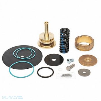 ZURN WILKINS Repair Kit Reduce Valve 3 In, 45K841