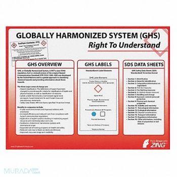 ZING Poster 18 in x 24 in Plastic, 45L109