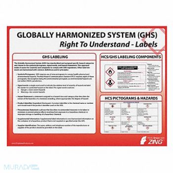 ZING Poster 18 in x 24 in Plastic, 45L110