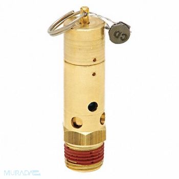 CONTROL DEVICES Air Safety Valve 1/2 Inlet 250 psi, 45MH17