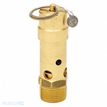 CONTROL DEVICES Air Safety Valve 3/4 Inlet 300 psi, 45MH39