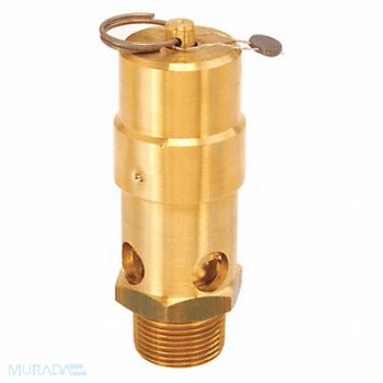 CONTROL DEVICES Air Safety Valve 1 Inlet 300 psi, 45MH49