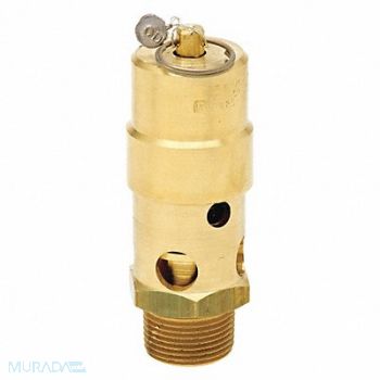 CONTROL DEVICES Air Safety Valve 1-1/4 Inlet 100 psi, 45MH53