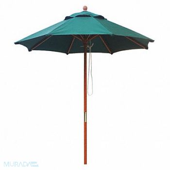 GRAINGER APPROVED Market Umbrella 7 ft Forest Green, 45MV57