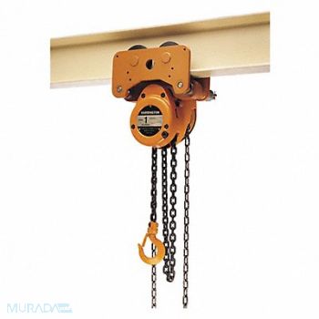HARRINGTON Hoist/Trolley 10000 lb 10 ft Lift, 49CY91