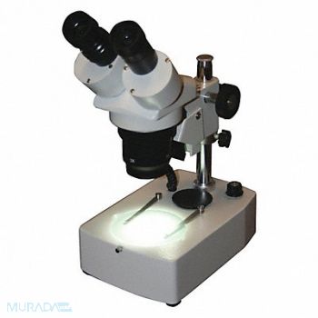 LW SCIENTIFIC Dual Mag Stereo Microscope 6-1/2in W LED, 45UA31