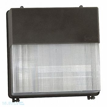 EXO Wall Pack LED 5000K 6778 lm 72W 480V AC, 54EN88