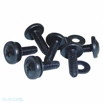 VIDEO MOUNT PRODUCTS Rack Screws For Racks/Enclosures PK100, 462P90
