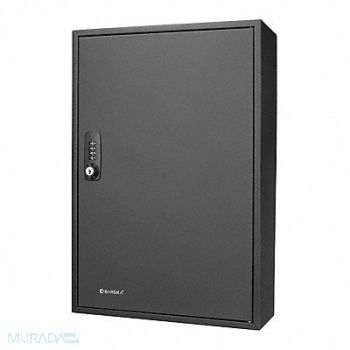 BARSKA Key Cabinet Wall Mount 200 Key Cap., 465D77
