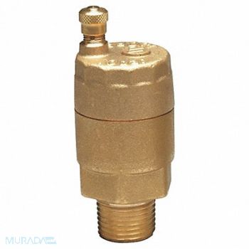 WATTS Automatic Air Vent Valve 3/4 In Brass, 46A963