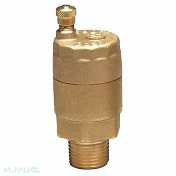 WATTS Automatic Air Vent Valve 1 In Brass, 46A964