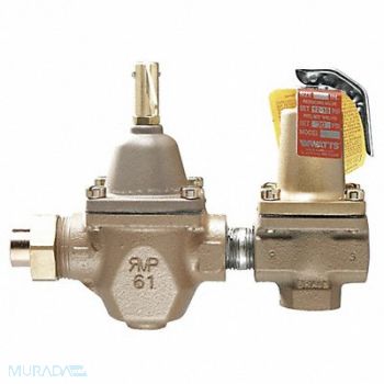 WATTS Fill and Relief Valve 1/2 In 30 psi Iron, 46A979