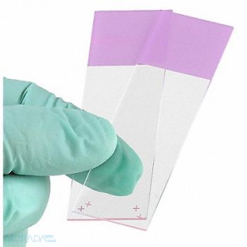 GLOBE SCIENTIFIC Microscope Slide Lilac 25x75mm PK72, 46AW83