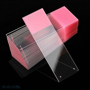 GLOBE SCIENTIFIC Microscope Slide Pink 25x75mm PK72, 46AW85