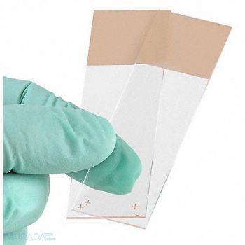 GLOBE SCIENTIFIC Microscope Slide Tan 25x75mm PK72, 46AW86