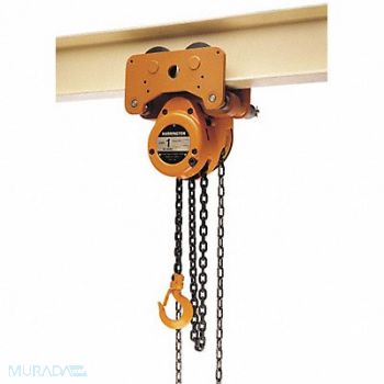 HARRINGTON Hoist/Trolley 8000lb 10ftLift, 46KL29