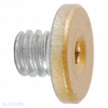 LCN Cover Screw Brass Brass 1/4 in L, 46TZ17