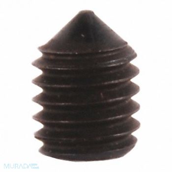 LCN Roller Lock Screw Slvr 3/8 in L, 46TZ18