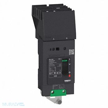 SQUARE D Circuit Breaker 125A 2P 525VAC BDA, 482C53