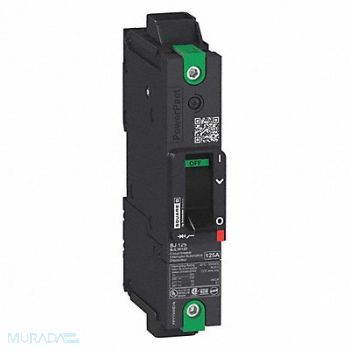 SQUARE D Circuit Breaker 60A 1P 240VAC BGL, 482F59