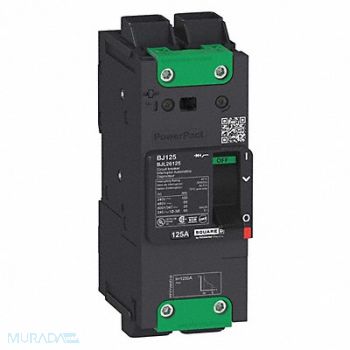 SQUARE D Circuit Breaker 125A 2P 525VAC BGL, 482F93