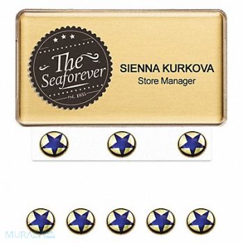 MIGHTY BADGE Badge Star Blank Legend PK10, 482Y93