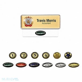 MIGHTY BADGE Badge Star Blank Legend PK10, 482Y97