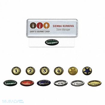 MIGHTY BADGE Badge Star Blank Legend PK10, 482Y99