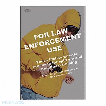 ACTION TARGET Target Federal Agency Multicolor PK25, 484T73