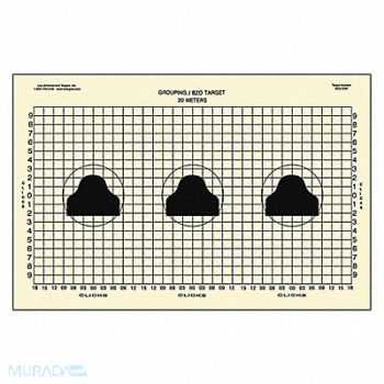 ACTION TARGET Target Scoring and Qualification PK50, 484W87
