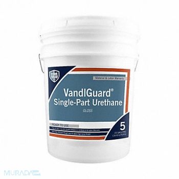 RAINGUARD Anti-Graffiti Barrier Clear 5 gal Size, 488A41
