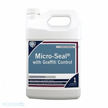 RAINGUARD Deep Penetrating Sealer Clear 1 gal Sz, 488A46