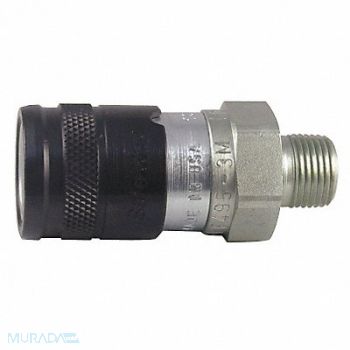SAFEWAY HYDRAULICS Quick Connect Socket 3/8 3/8 -18, 48J303
