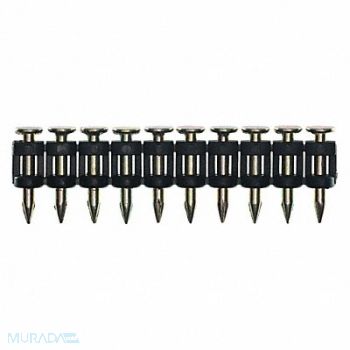 SENCO Concrete Nails 12 ga. 3/4 in L PK1000, 48LR31