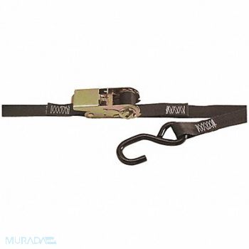 KINEDYNE Tie Down Strap Ratchet Poly 10 ft., 48PX39