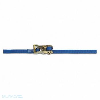 KINEDYNE Tie Down Strap Ratchet Poly 15 ft., 48PX40