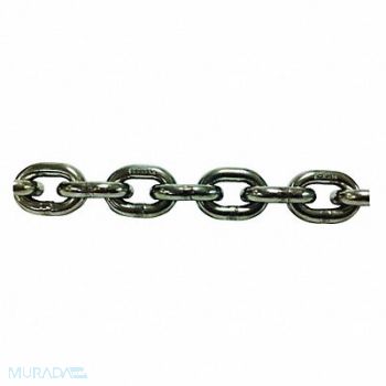 PEWAG Chain 10 ft L Grade 63 Trade Size 5/8 in, 48RD12