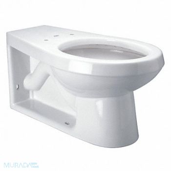 ZURN Toilet Bowl Elongated Floor w/BackOutlet, 48RT66
