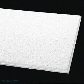 ARMSTRONG Ceiling Tile 48 in L 24 in W PK8, 48WC09