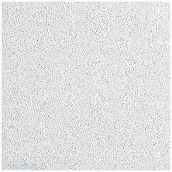 ARMSTRONG Ceiling Tile 48 in L 48 in W PK6, 48WC10