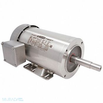 LEESON Washdown Motor 2 HP 1745 145JM 230/460V, 48ZF71