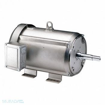 LEESON Washdown Motor 10 HP 1760 215JM 230/460V, 48ZF79