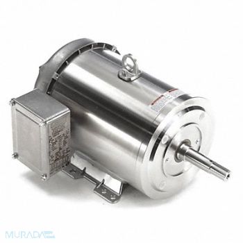 LEESON Washdown Motor 5 HP 3495 184JM 230/460V, 48ZF74