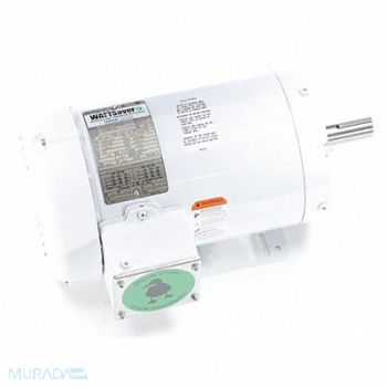 LEESON Washdown Motor 2 HP 1745 145T 230/460V, 48ZF84