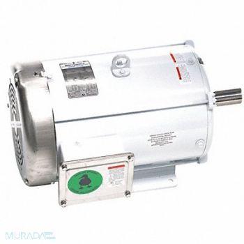 LEESON Washdown Motor 10 HP 1765 215T 230/460V, 48ZF90