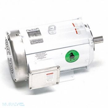 LEESON Brake Motor 10 HP 1765 215TC 230/460V, 48ZG14