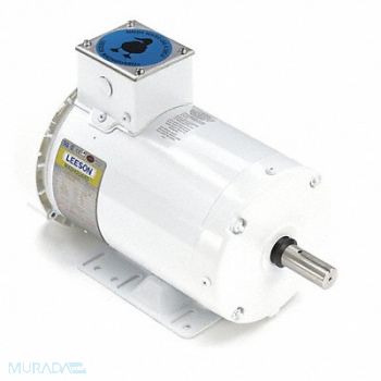LEESON General Purpose Farm Duty Motor 3 HP, 48ZG46