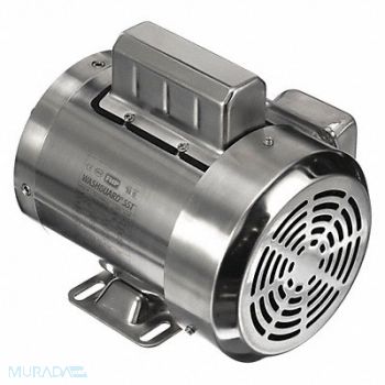 LEESON Washdown Motor 1 HP 3450 56C 115/230V, 48ZH50